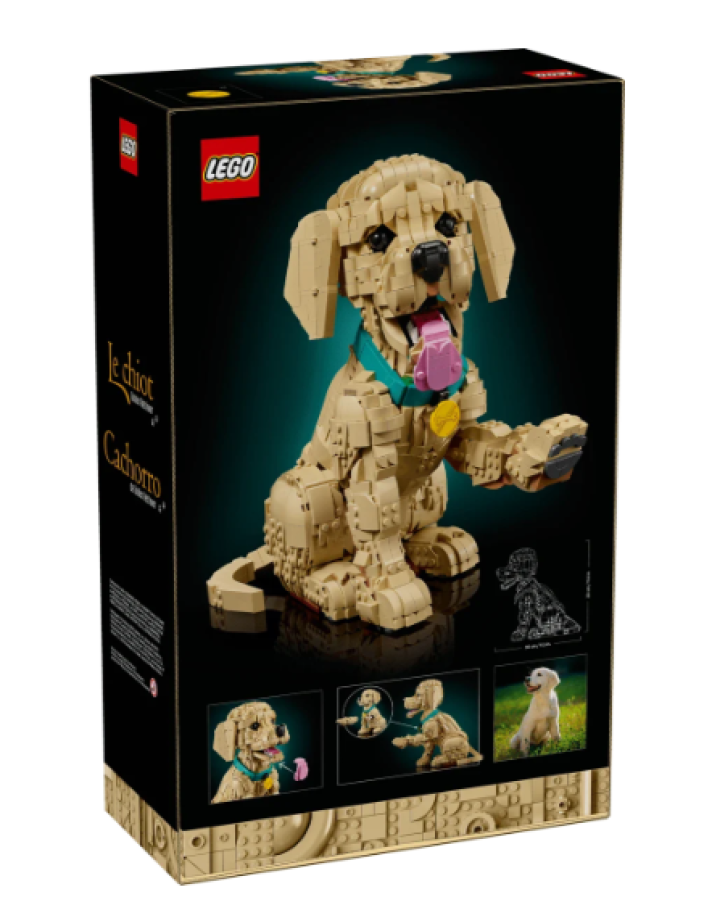 11384 Lego Icons - Štěně zlatého retrívra