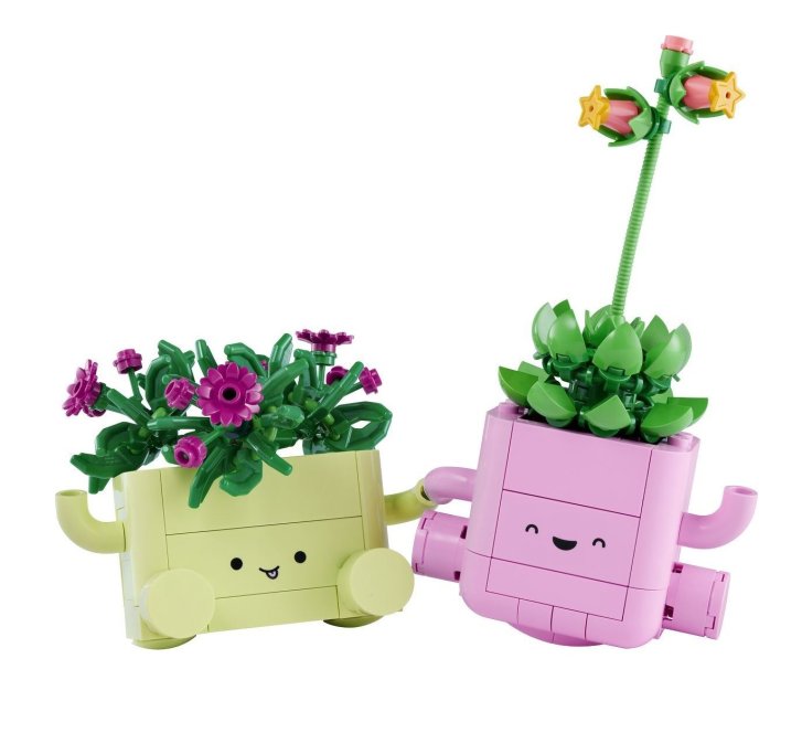 11506 Lego Botanicals - Houpající se rostlinky