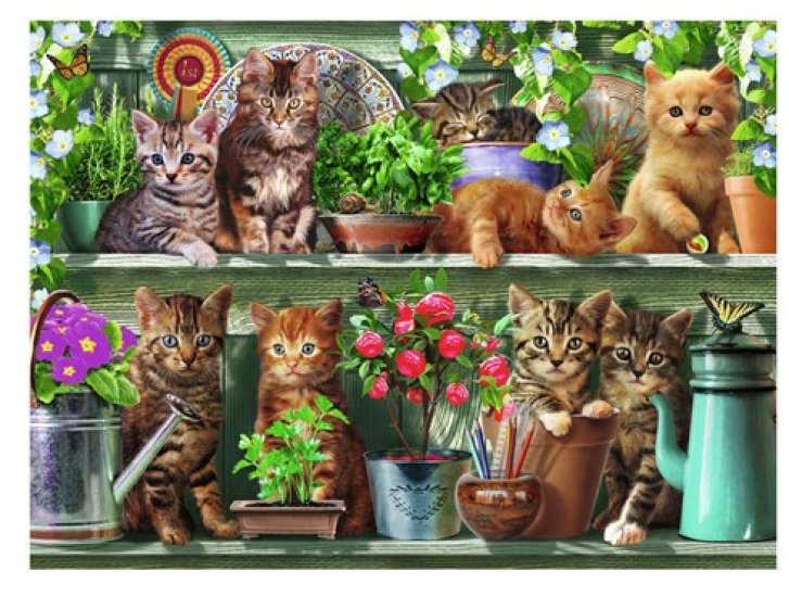 Puzzle 500 – Kočky na poličce
