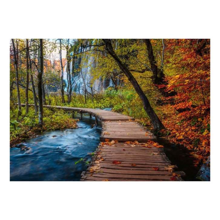 Puzzle 1000 - Tajemný les
