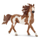 Schleich - Hřebec Pinto 13794