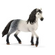 Schleich – Andalúžský hřebec 13821