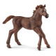 Schleich - Anglické plnokrevné hříbě 13857
