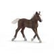 Schleich - Schwarzwaldské hříbě 13899