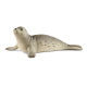 Schleich – Tuleň 14801