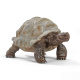 Schleich – Želva obrovská 14824