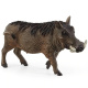 Schleich - Prase bradavičnaté 14843