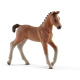 Schleich – Hříbátko Hanover  17078