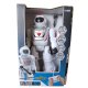 RC - Future bot