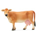 Schleich – Kráva Jersey 13967