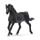 Schleich – Arabský hřebec 13981