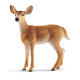Schleich – Laň běloocasá 14819