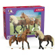 Schleich – Startovací sada 42738