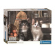 Puzzle 1000 – Koťátka