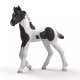 Schleich – Hříbě Rocky 81481